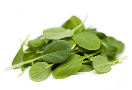 Tatsoy Sla