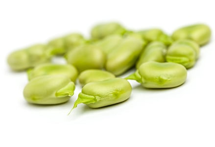 Tuinbonen