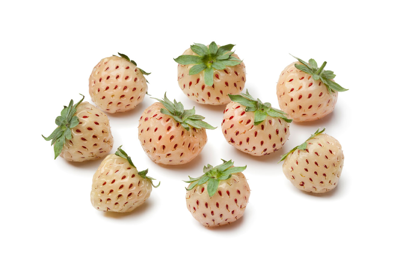 Actueel: Week 17 Groente En Fruit Producten