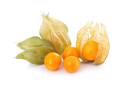 PHYSALIS