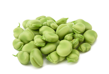 Tuinbonen