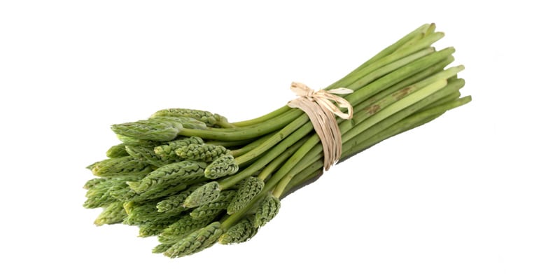 Korenaar Asperges