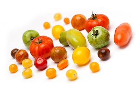 Inca Tomaten Mix