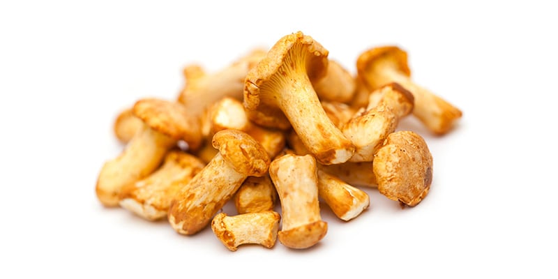 Girolles Nopjes