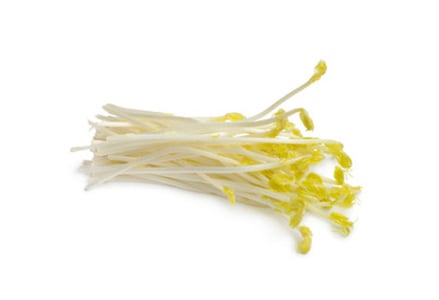 Aspergescheuten
