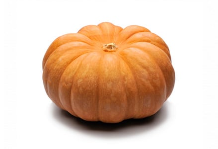 Muscaat Pompoen