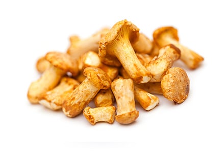 Girolles Nopjes