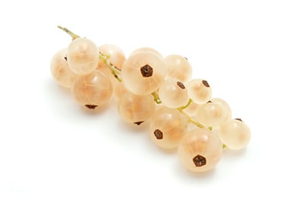 Witte Bessen