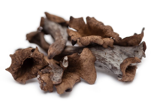 Actueel: Week 46 – Proef De Herfst!